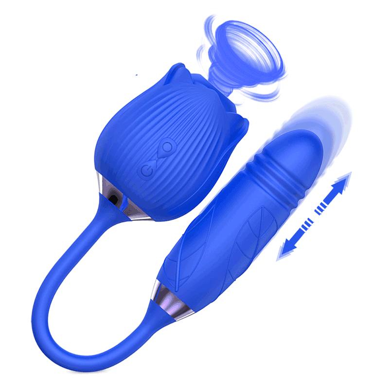 Hapmen - New 2 In 1 Rose Flower Toy Pro 2