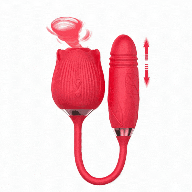 Hapmen - New 2 In 1 Rose Flower Toy Pro 2